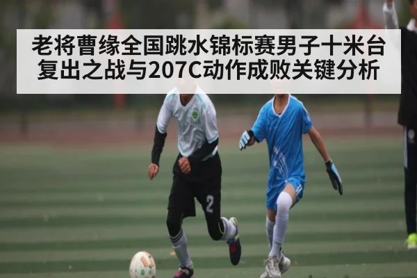 老将曹缘全国跳水锦标赛男子十米台复出之战与207C动作成败关键分析